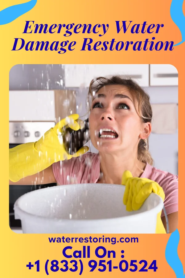Emergency Water Damage Restoration in Odon, IN