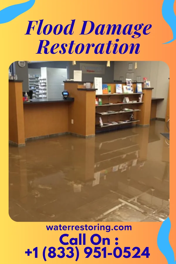 Flood Damage Restoration in Odon, IN