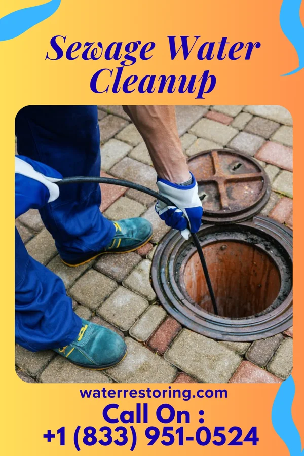 Sewage Water Cleanup in Odon, IN