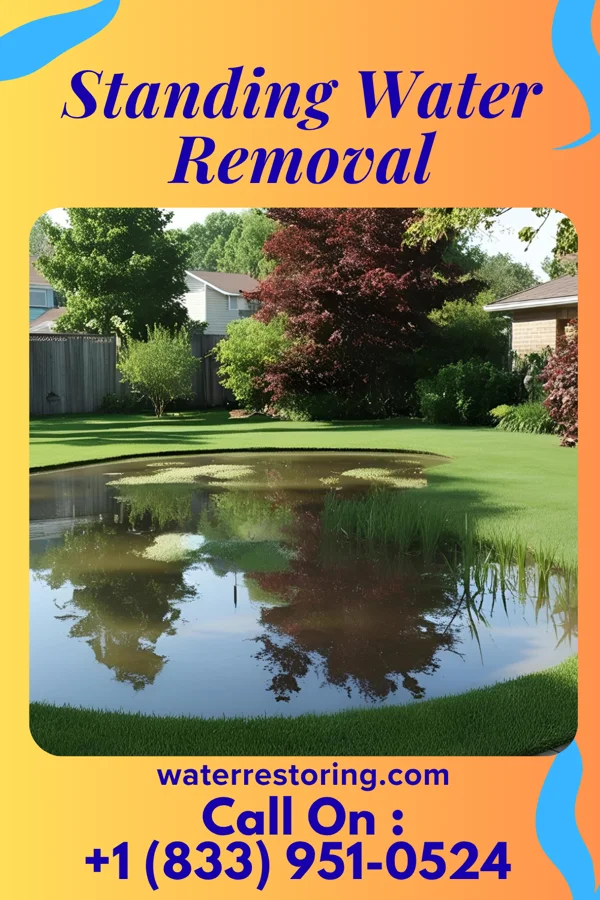 Standing Water Removal in Odon, IN